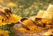 🌾 Pólen: O Ouro Invisível da Natureza que Alimenta as Abelhas, as Plantas e a Vida no Sítio 7 polen