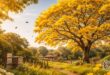 ipe amarelo